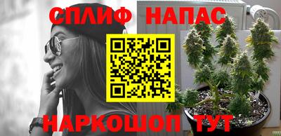 прущие крисы Изобильный