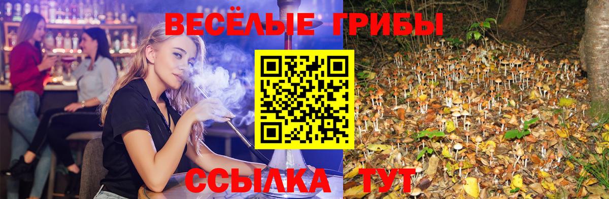 цены наркотик  Псилоцибиновые грибы Psilocybe  Вход с VPN  Кимовск 